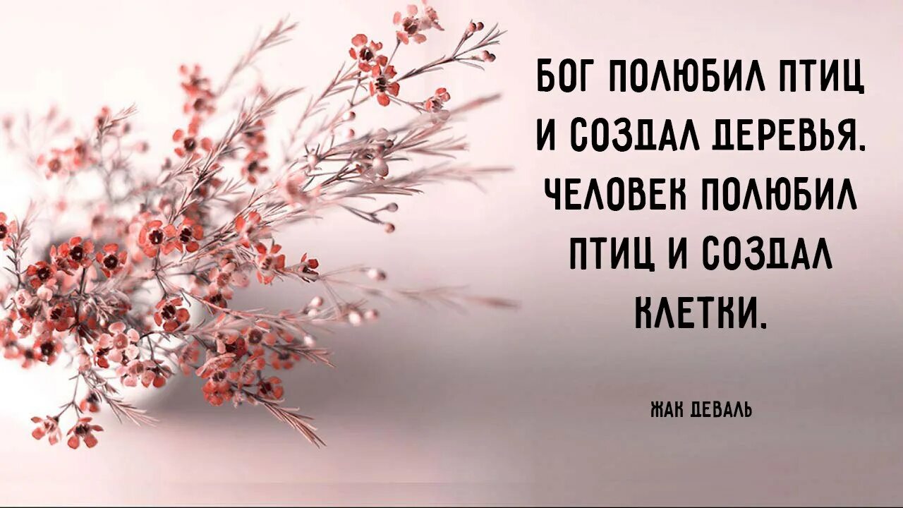 Жизнь человека миг. Ловите каждое мгновение. Спешите жить любить. Торопиться жить стихи. Счастье каждый миг.