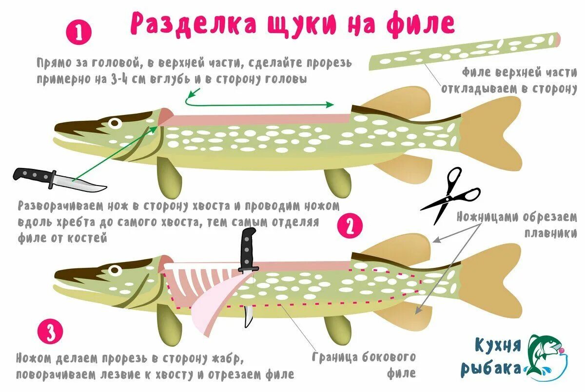 Как почистить щуку на котлеты. Схема разделки щуки. Части рыбы схема разделки.