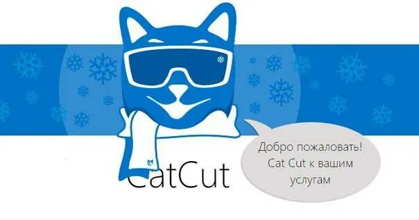 Catcut net. Catcut заработок на ссылках. фото catcut. каткут нет. catcut картинки приложение.