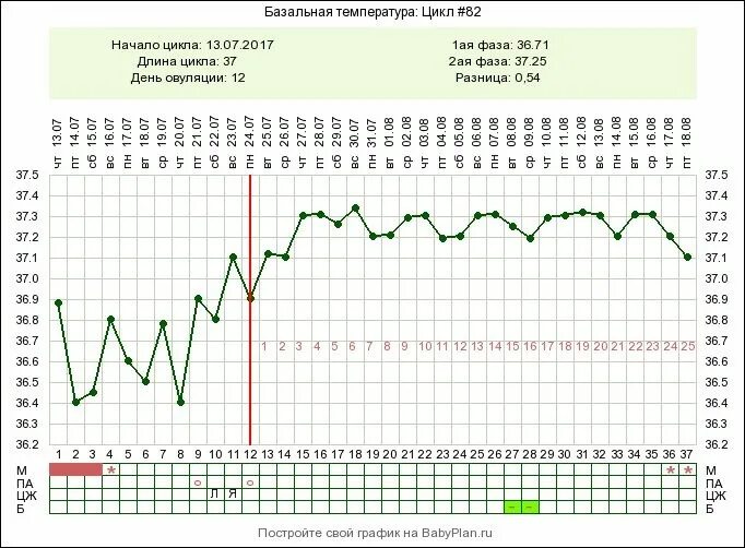 Протокол эко по дням. Этапы протокола эко по дням. Эко по дням цикла. Длинный протокол эко по дням.