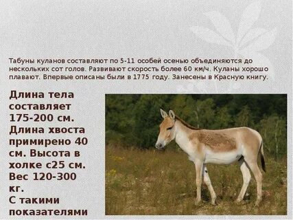 Куланов