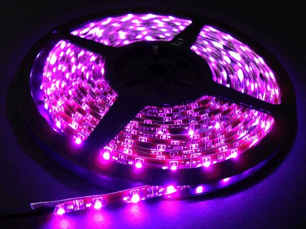 Купить светодиодные калининград. Лента светодиодная фиолетовая 12в. 36led RGB, 1000х52х72mm. Светодиодная полоса 3528/60 желтая. DS led 5050 1000 мм.