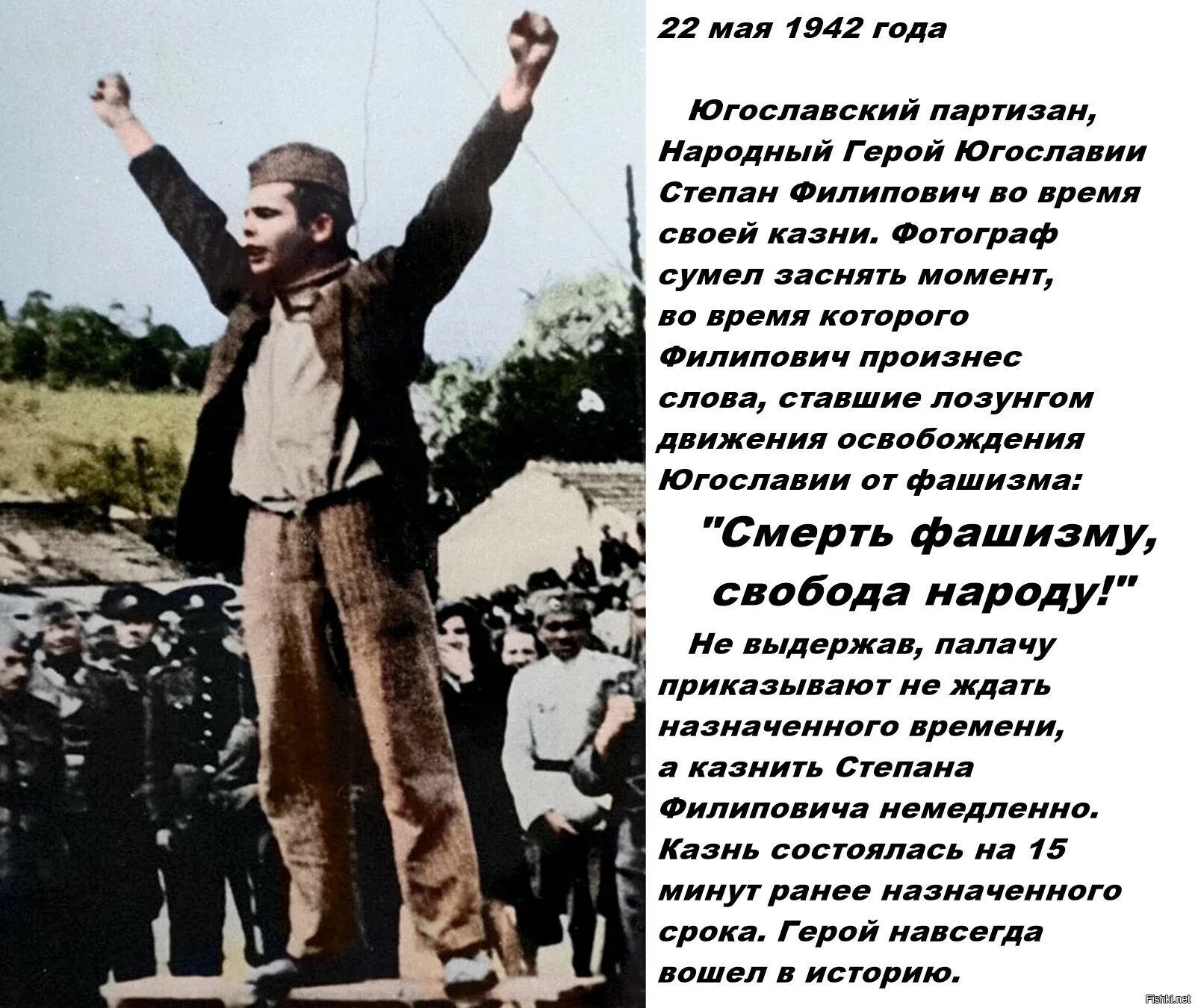 Клянусь защищать независимость и свободу народа. Смерть фашизму, Свобода народу!. Смерть фашистам. Смерть фашизму Свобода народу Югославия.