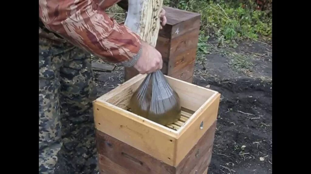 Весенняя подкормка пчел сиропом. Конструкции кормушек для пчел. Пчеловодстве для подкормки пчёл. Кормушка в виде улья. Подкормка пчел зимой.