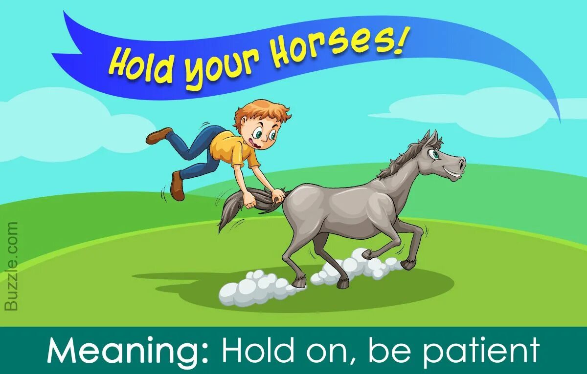 Hold your Horses идиома. Hold картинка. Райсом хорз. Темная лошадка фразеологизм. Slow meaning