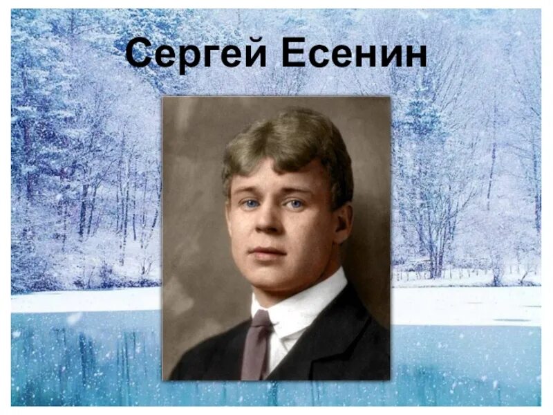 Есенин аукает. Есенин зима аукает. Есенин поет зима аукает береза. Есенин поёт зима. Анализ стихотворения есенина пороша 6