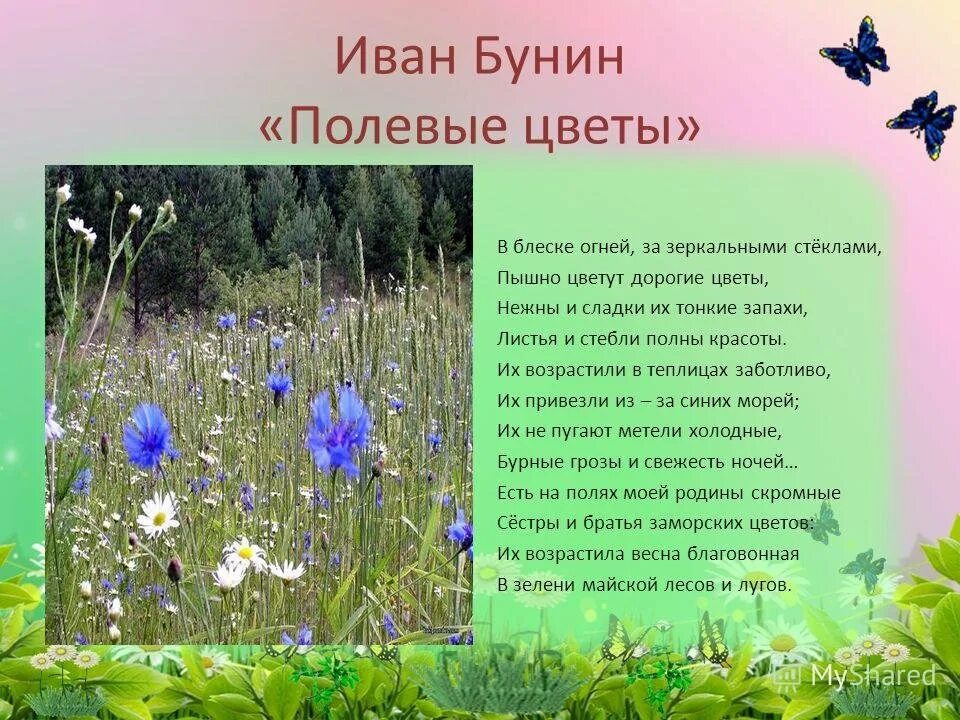 Полевые цветы рассказ забери ее себе 16