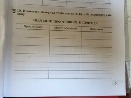 Какую роль играют простейшие в природе