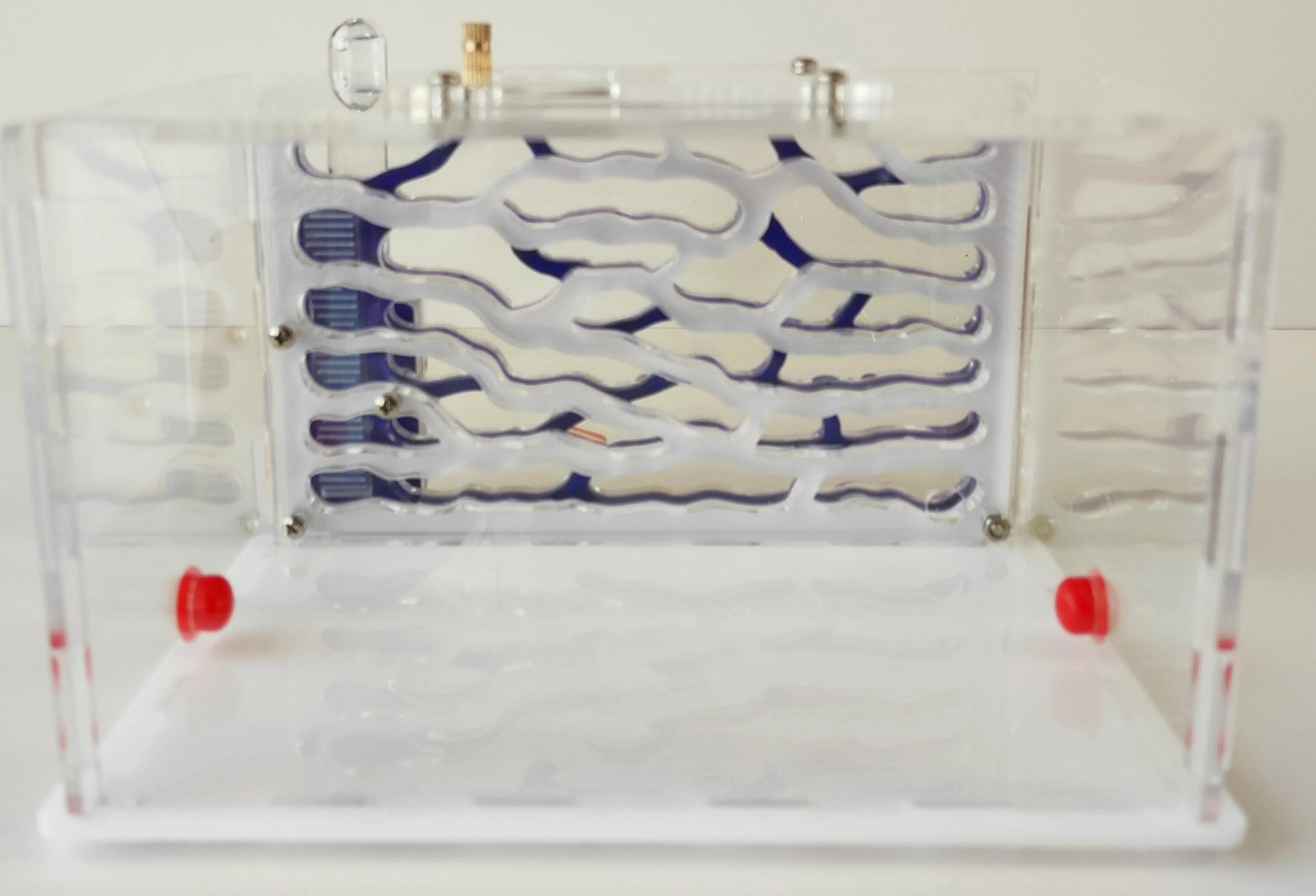 Ant city. Муравьиная ферма ant tower ant nest b1 antlife. Муравьиная ферма. Померин хаус муравьиная ферма май антс. City of ant book.