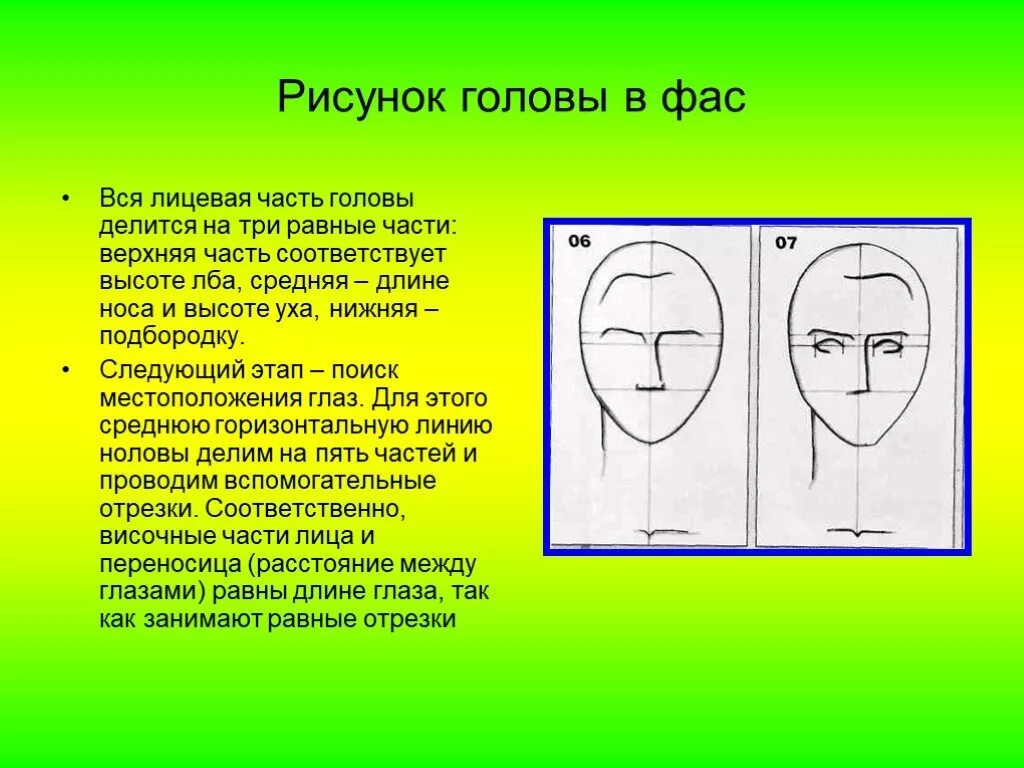 Верхняя часть лба. Изображение головы человека в пространстве. Изображение головы человека АВ пространстве. Пропорции лица для рисования. Рисование головы.