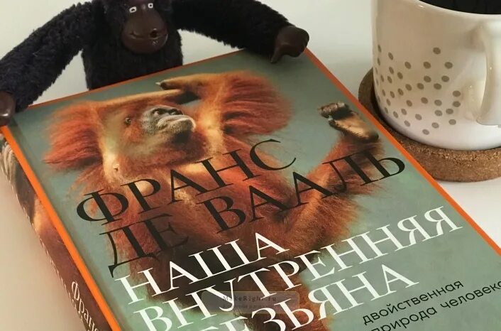 Франс де вааль книги. Франс де Вааль. Франс де Вааль наша внутренняя обезьяна. Франс де Вааль Истоки морали.