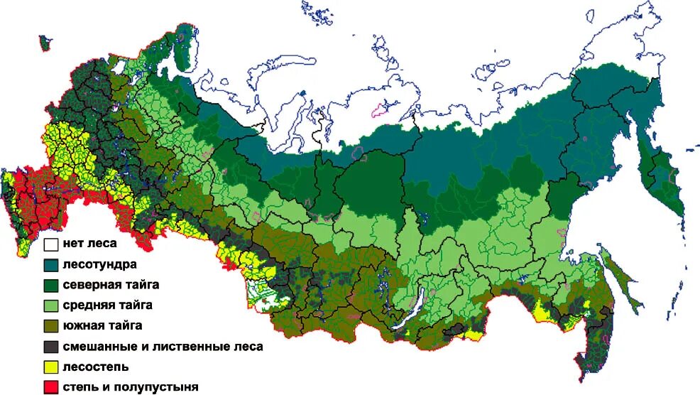 Карты лесов и болот