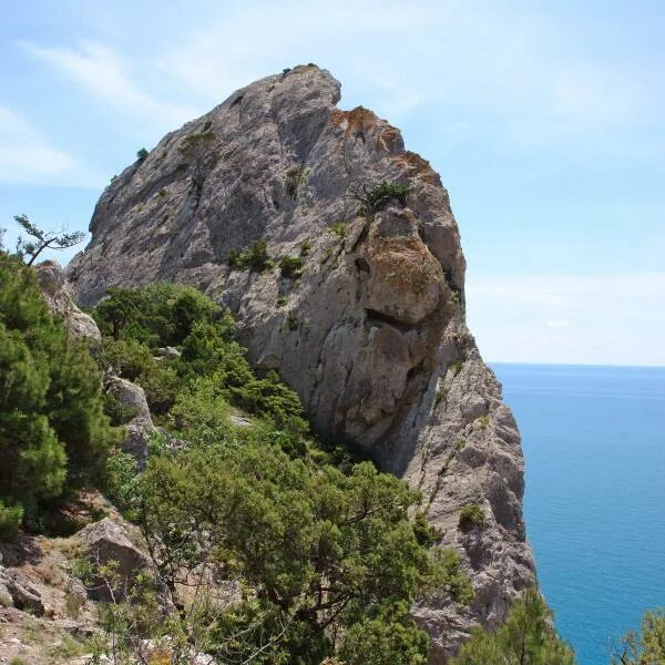 Черепашья гора Крым. Мыс - черепашья голова Крым. Черепашья скала Кабардинка. Скала в крыму голова