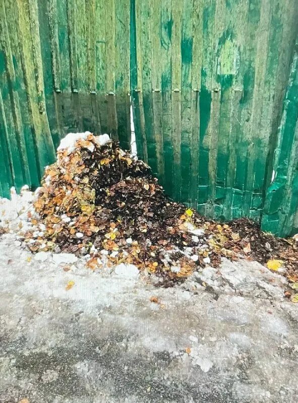 Союз малаховка. Моу сош 47 малаховка. Поселок малаховка заречная 24. Ук малаховка. Ук малаховка.