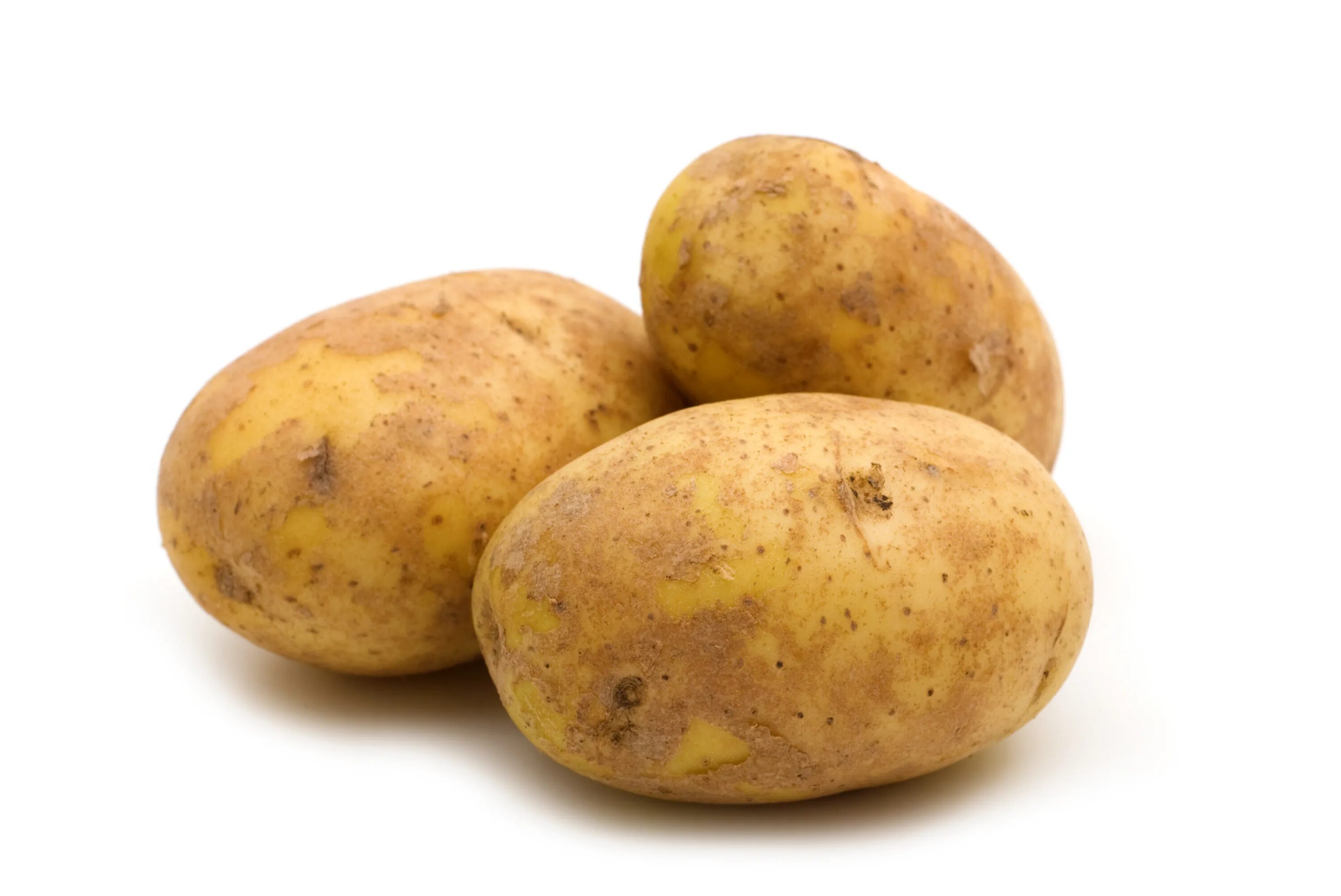 Потейто Потато. Картофель Аризона. Картофель 'Russet Burbank'. Картофель на белом фоне. Potatoes picture