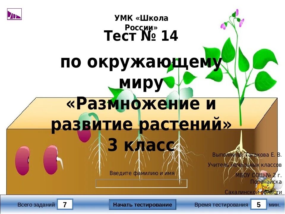 Размножение и развитие растений. Развитие растений 3 класс. Развитие растений 3 класс окружающий мир. Растения 3 класс.