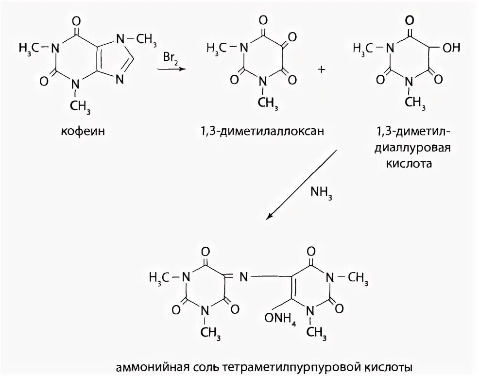 Аммонийная соль тетраметилпурпуровой кислоты. Реакция образования мурексида из кофеина. Мурексид реакции.