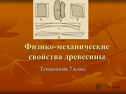 Чем отличается упругость древесины от ее прочности