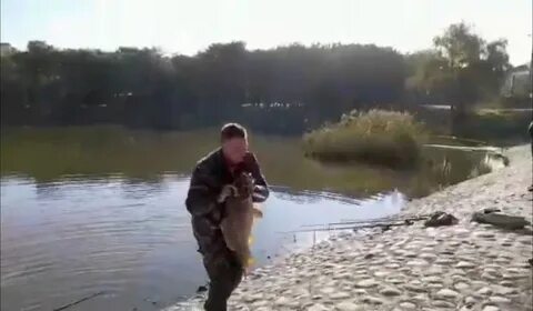 Поймали в парке