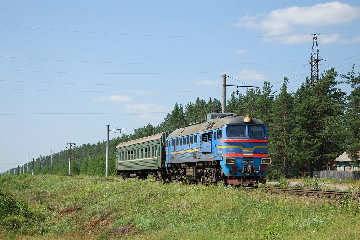 Дм62-1785. Дм62-1750. Станция Песь. Станция Песь Новгородская область.