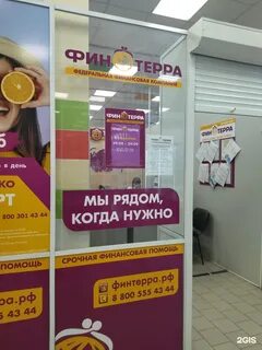 Финтерра отзывы