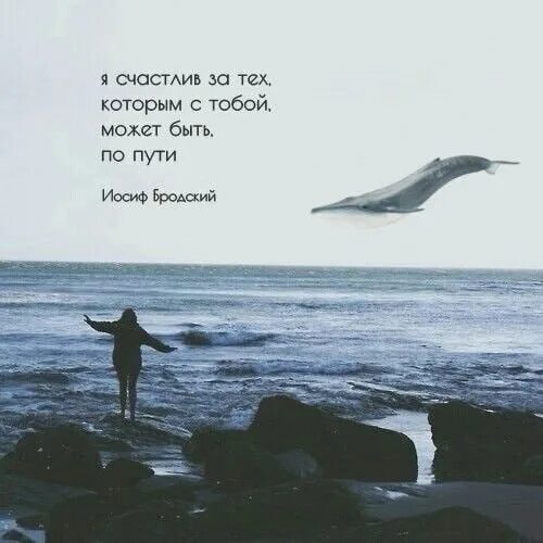 Я счастлив я готов. Цитаты про море. Я счастлив за тех которым с тобой может быть по пути. Цитаты про океан. Океан цитаты и афоризмы.