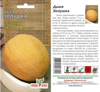 Дыня золушка