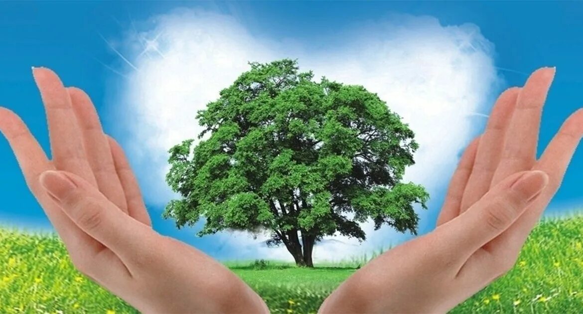 почему человек должен оберегать природу. почему человек должен оберегать природу. экология береги природу. почему надо беречь природу. почему человек должен оберегать природу.