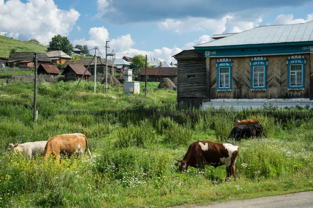 Г деревне. Сельская деревня Башкирии. Башкирские деревни в Башкирии. Старая Башкирская деревня. Башкирия Сельская жизнь.