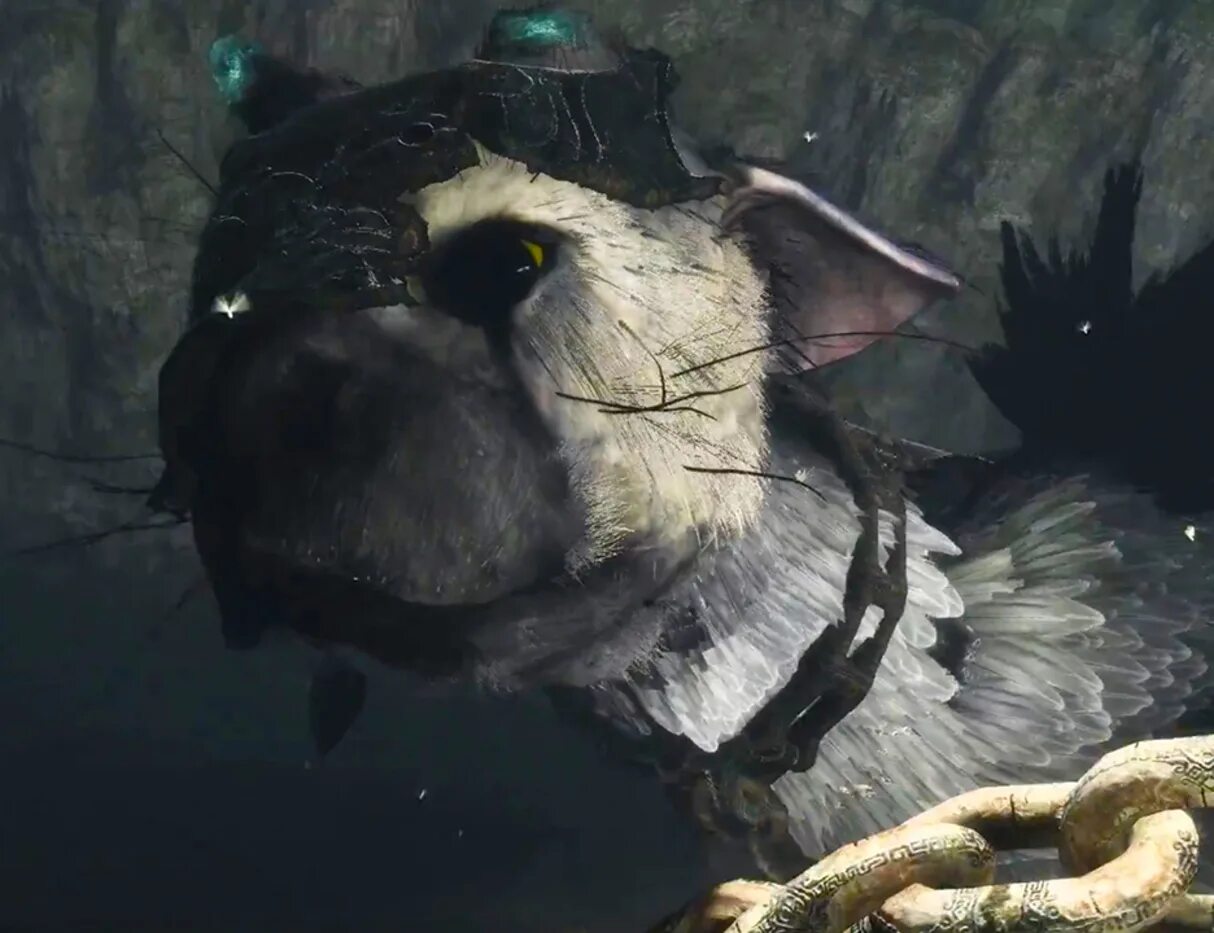 The last Guardian. The last Guardian Trico. Трико игра the last Guardian. Трико зе ласт Гардиан.