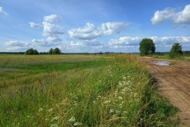 Суховерхово вологодская область. Участок сельхозназначения. Сельхоз земли. Сельскохозяйственные земли вологодская область. Сельскохозяйственные земли вологодская область.