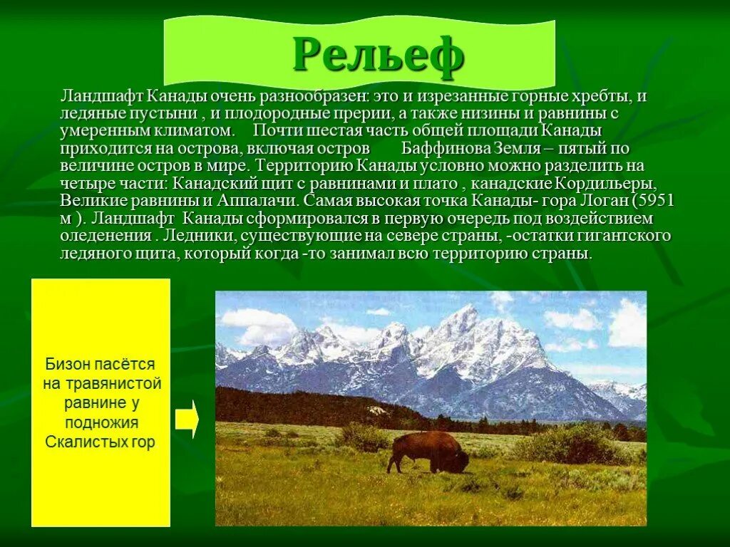 Особенности рельефа страны канада. Рельеф равнины Канады. Формы рельефа Канады. Рельеф Канады география. Равнины Канады презентация.