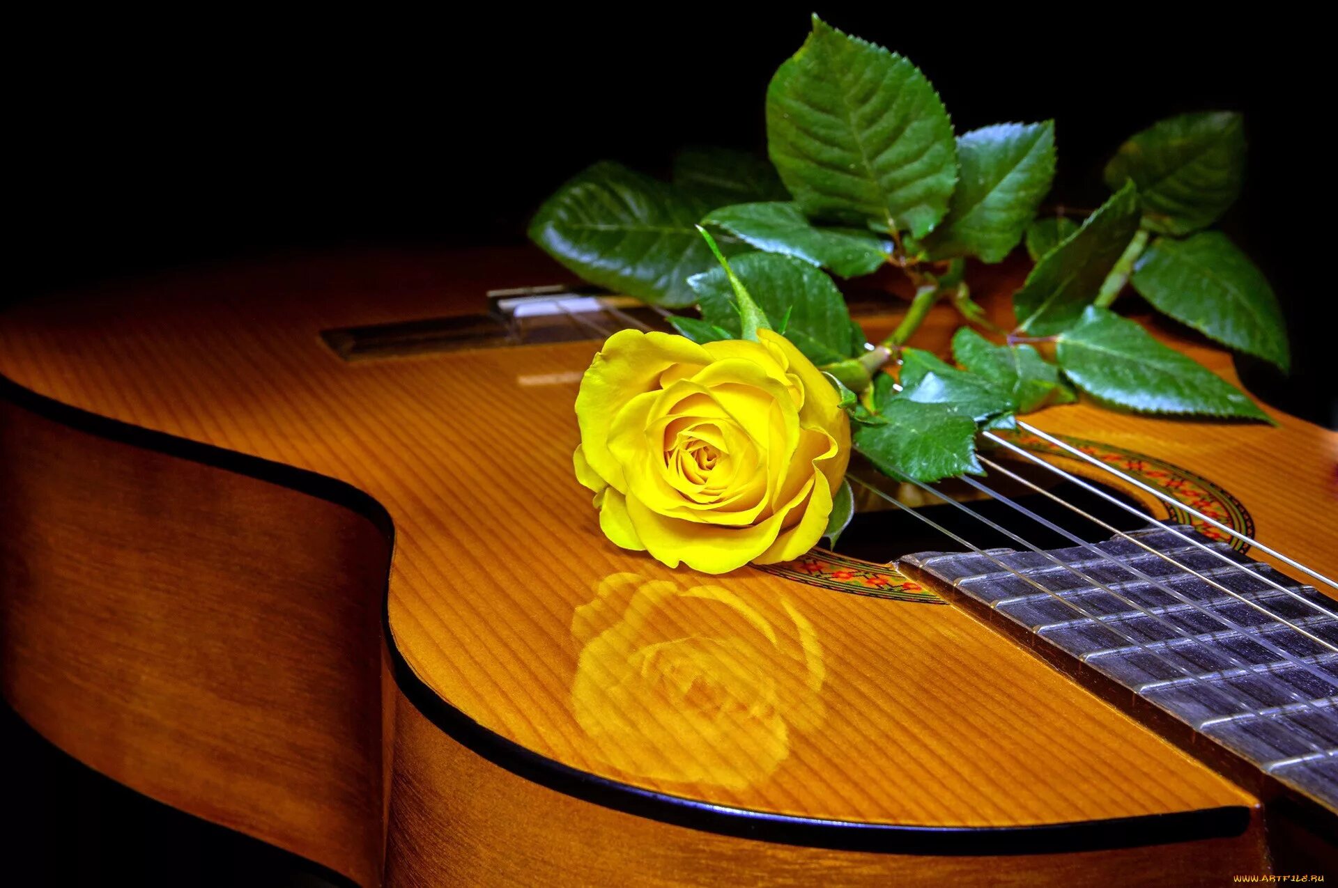 Гитара в цветах. Цветы для музыканта. Электрогитара и цветы. Музыка пианино гитара