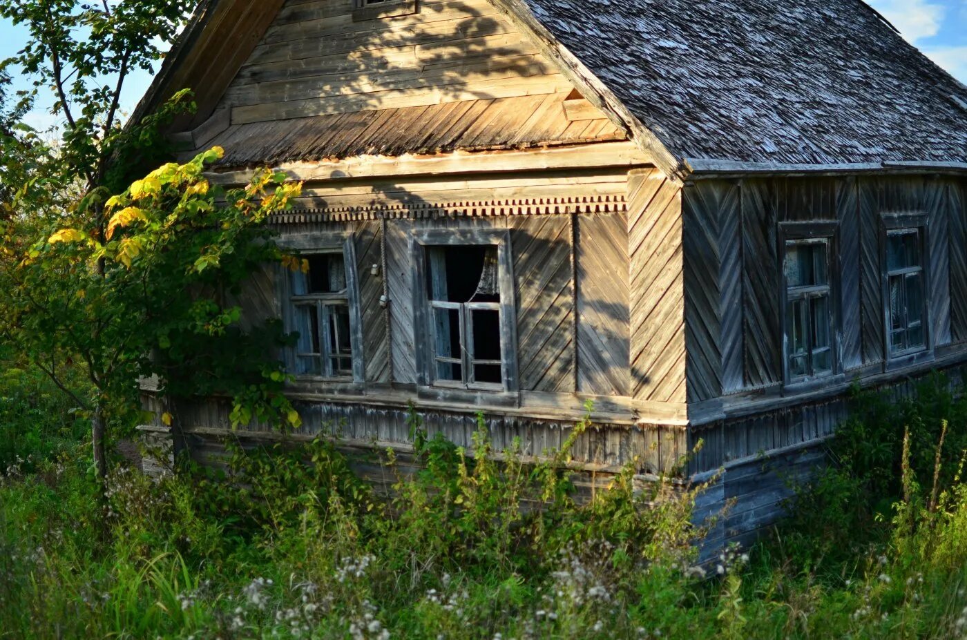Деревня Тулебля. Деревня Жильско Новгородская область. Деревня остров Солецкий район. Хотигоще Волотовский район