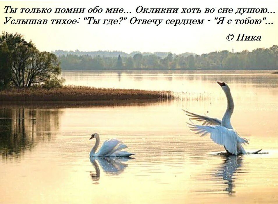 Просто Помни обо мне стихи. Открытка Помни обо мне. Я помню о тебе стихи. Помни меня стих. Обо мне вспомнишь как проблемы