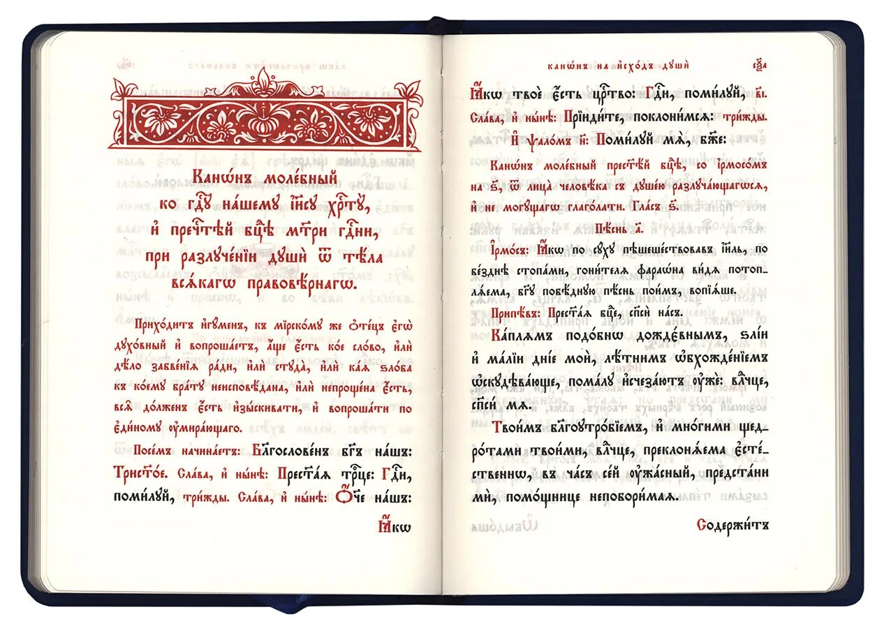 Кафизма 10 с молитвами читать. Церковнославянский язык. Книги на Славянском языке. Церковнославянский текст. Церковно Славянский язык.