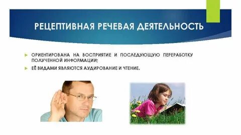 Рецептивная речевая деятельность