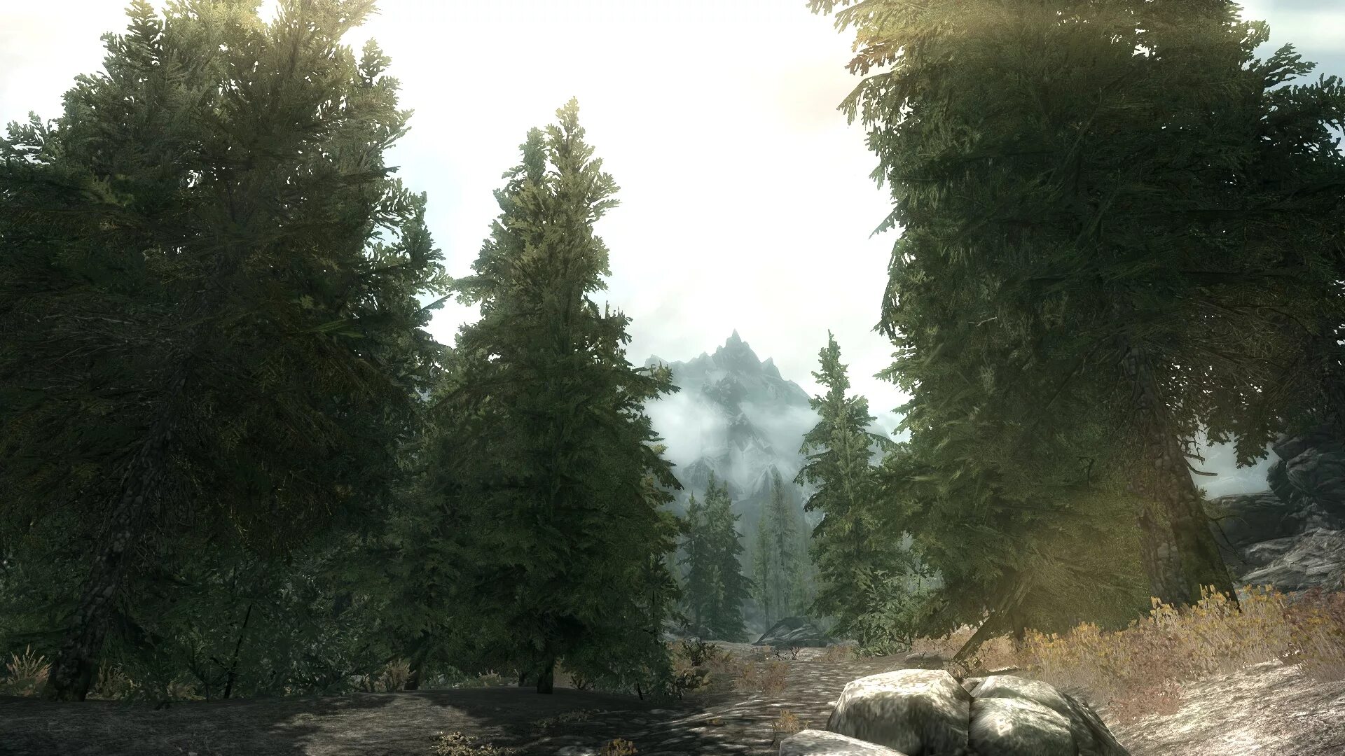 Skyrim мод на деревья. Дерево Скайрима. Skyrim дерево. Много деревьев скайрим. Trees skyrim