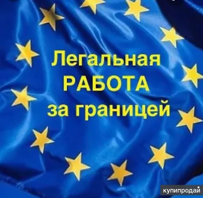 Легальное работа за границей. Бизнес туристы. Работа за границей реклама. Миграция бизнеса. Трудоустройство за границей.