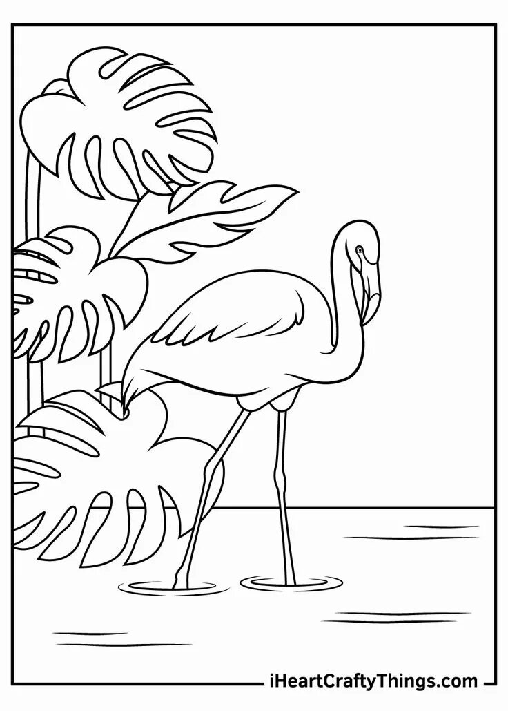 Ausmalbild Entschuldigung Flamingo Flamingo, Art, Fictional characters