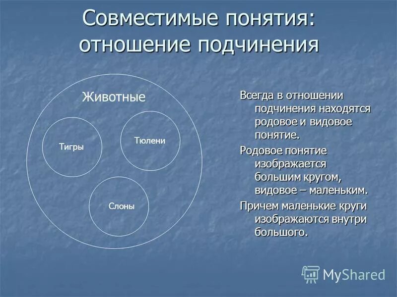 Переход от родового понятия к видовому. Родовые понятия в логике. Родовые и видовые понятия. Родовое понятие и видовое понятие примеры.