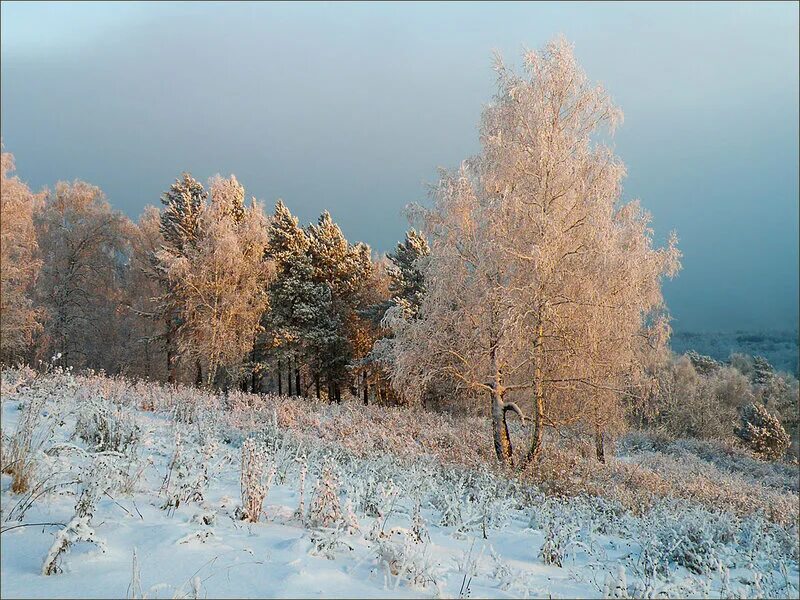 эпова сибирские морозы