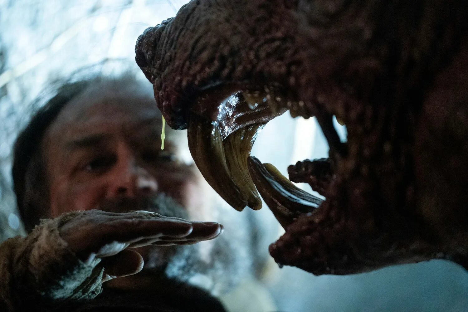 кабинет редкостей дель торо. кабинет редкостей гильермо торо. кабинет редкостей гильермо дель торо (2022). кабинет редкостей гильермо дель торо (2022). кабинет редкостей гильермо дель торо (2022).