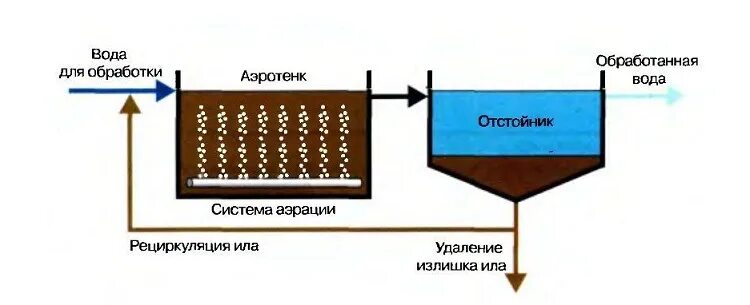 Аэротенки для очистки сточных вод схема. Схема аэротенка для биологической очистки сточных вод. Схема аэротенка биологической очистки. Биологическая очистка сточных вод в аэротенках. Очистка вод илом