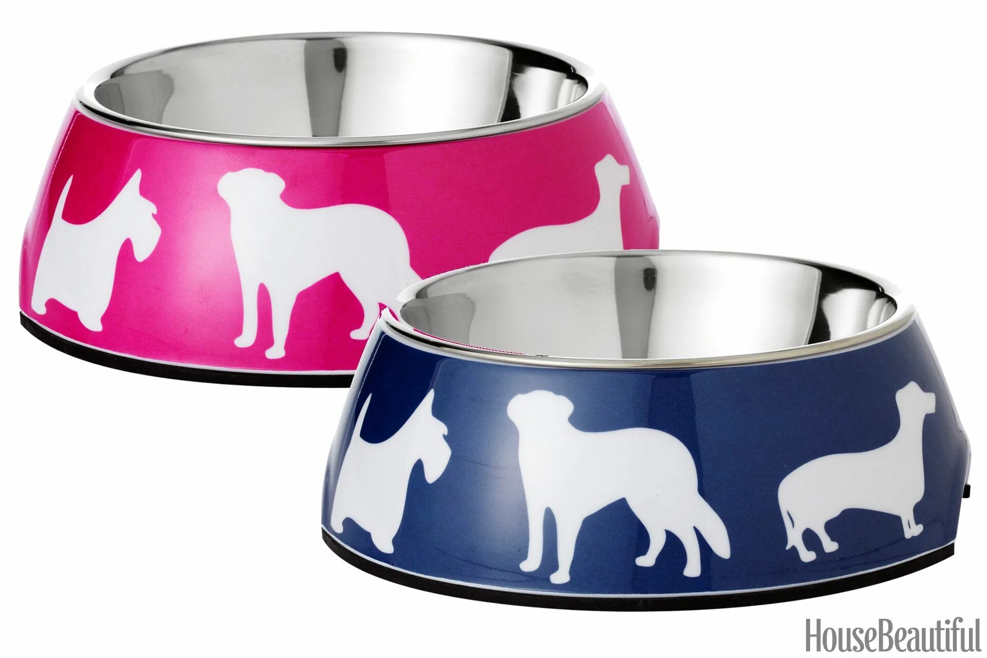 Dog bowls. Миска для кошки мокап. dog bowl. корм bowl wow. the dogwith bowl.