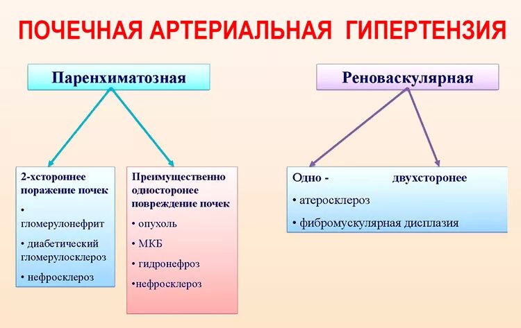 Почечная гипертония