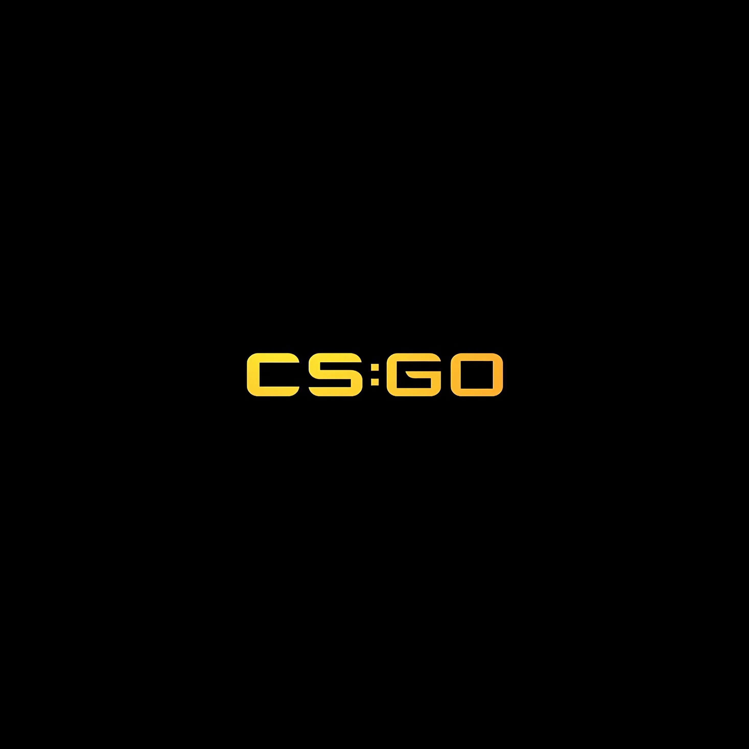 Loader cs 2