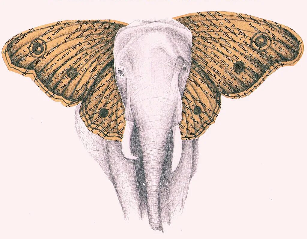 Слоники с крыльями. Слон бабочка. Слоник с крылышками. Слон с ушами бабочки.
