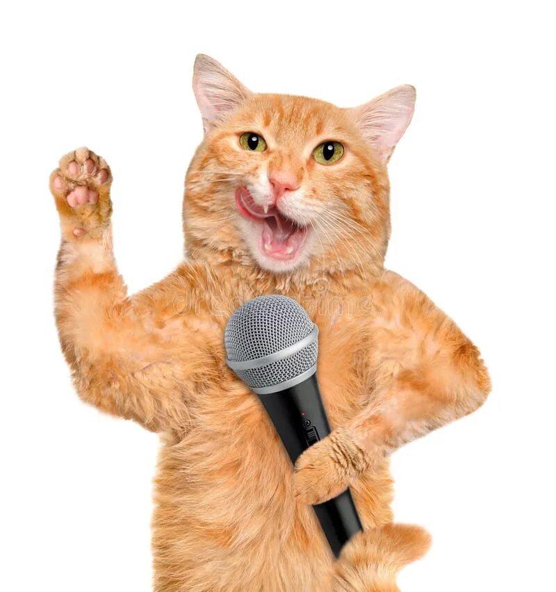 Кот поет в микрофон. Котик с микрофоном. Микро кот. Кошка поет в микрофон. Кот поет.
