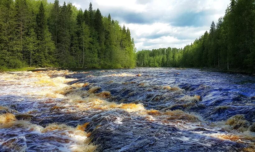 Теплые реки в россии. Река Шуя Карелия. Реки Шуи Суойоки. Река Шуя река. Река Шуя Суоярви Карелия.